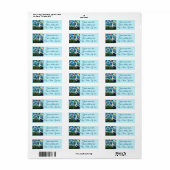 Étiquette Seagull Van Gogh Style Beach Sky Return Adresse (Feuille entière)