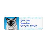 Seal Point Siamese