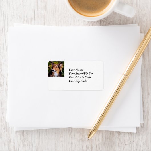 Étiquette secourir le chien (En situation)