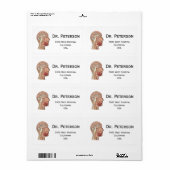 Étiquette Section de la Croix du Cerveau Midsagittal (Feuille entière)