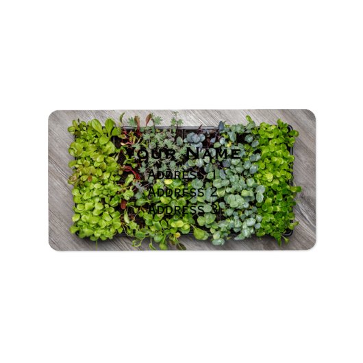 Étiquette Seedlings (Devant)