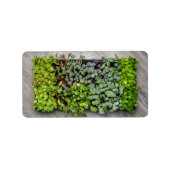 Étiquette Seedlings (Devant)