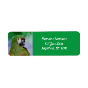 Étiquette Severe Macaw Parrot Bird Adresse