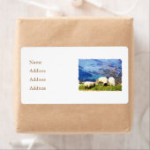 ÉTIQUETTE SHEEP (En situation)