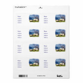 ÉTIQUETTE SHEEP (Feuille entière)