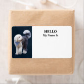 Étiquette Sheepadoodle avec écharpe à carreaux bleus (En situation)