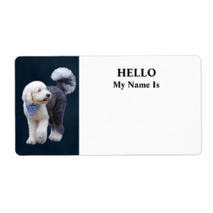 Étiquette Sheepadoodle avec écharpe à carreaux bleus