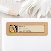 Étiquette Shell - conchyliologie - conque (En situation)