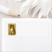 Étiquette Shetland Sheepdog Assis Aquarelle  (En situation)