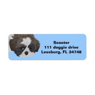 Étiquette Shih Tzu