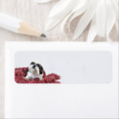 Étiquette Shih Tzu Noël (En situation)