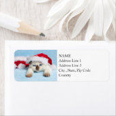 Étiquette Siamese Kitten : Christmas Kitty (En situation)