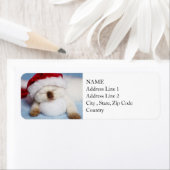 Étiquette Siamese Kitten : Napping de vacances (En situation)