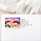 Étiquette Siamese Kitten : Père Noël Twinsies (En situation)