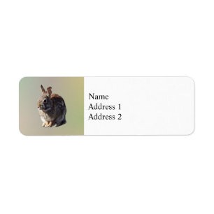 Étiquette Siège de lapin
