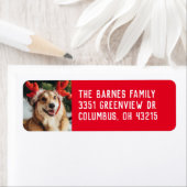 Étiquette Simple vacances animal de compagnie photo rouge ad (En situation)