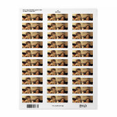 Étiquette Sistine Madonna Angels par Raphael Sanzio (Feuille entière)