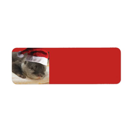 Étiquette Sleepy Otter Santa Claus (Devant)