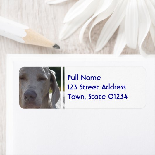 Étiquette Sleepy Weimaraner (En situation)