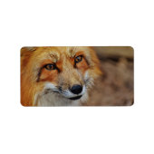 Étiquette Sly Fox (Devant)