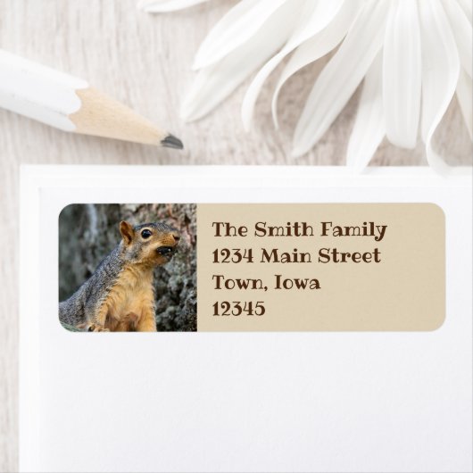 Étiquette Snacker Cicada (En situation)