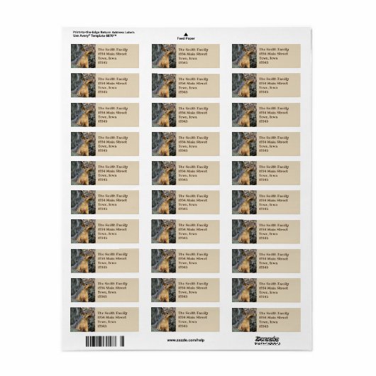 Étiquette Snacker Cicada (Feuille entière)