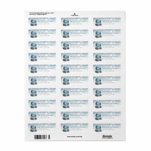 Étiquette Snow Globe Return Address Labels (Feuille entière)
