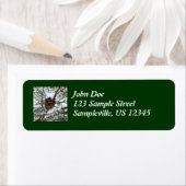 Étiquette Snowy Pine Cône II hiver Photographie de la nature (En situation)