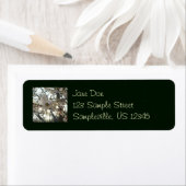 Étiquette Soirée Fleurs de cerisiers II Printemps coucher de (En situation)