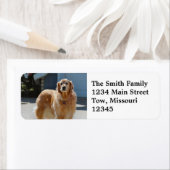 Étiquette Soleil doré (En situation)