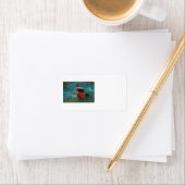 Étiquette Sorcière Volant Chat noir Crescent Lune (En situation)