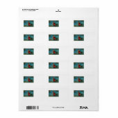 Étiquette Sorcière Volant Chat noir Crescent Lune (Feuille entière)