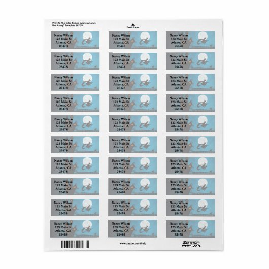 Étiquette Sorcière volante (Feuille entière)