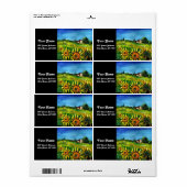 ÉTIQUETTE SOUFFRANCES ET CAMPAGNE EN TOSCANE (Feuille entière)