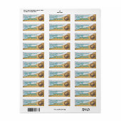 Étiquette Spider Crab Beach Life Coastal Adresse de retour (Feuille entière)