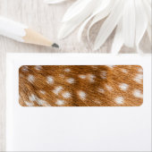 Étiquette Spotted deer pour texture (En situation)