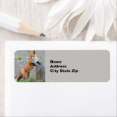 Étiquette Standing red fox (En situation)