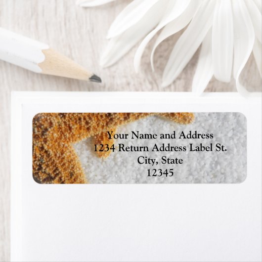 Étiquette Starfish dans Sand Beach Wedding (En situation)