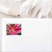 Étiquette Stargazer (En situation)