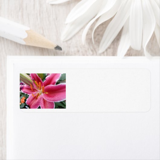 Étiquette Stargazer (En situation)