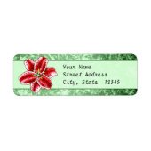 Étiquette Stargazer Lily (Devant)