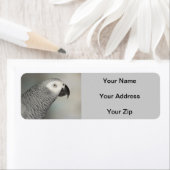 Étiquette Stately african Grey Parrot (En situation)