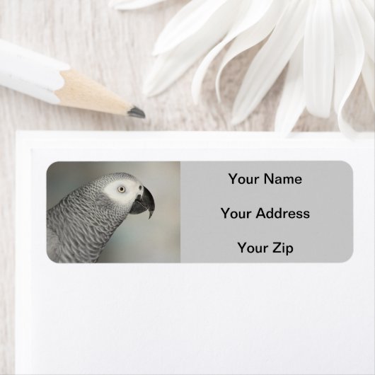 Étiquette Stately african Grey Parrot (En situation)