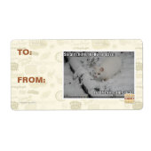 Étiquette Stealth Kitty 1 (Devant)