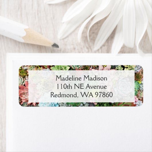 Étiquette Succulents colorés (En situation)