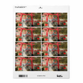 Étiquette Suehiro Ogami Sanctuaire (Fortune Frog Shrine) (Feuille entière)