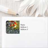 Étiquette Suivez le chef (En situation)