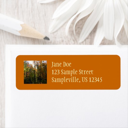 Étiquette Sunlit Fall Forest Paysage d'automne (En situation)