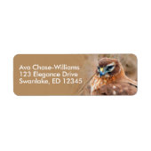 Étiquette Superbe faucon du harceleur du Nord dans les marai (Devant)