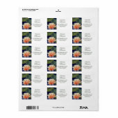 Étiquette Superbe fleur Nénuphar en Aquarelle Adresse (Feuille entière)